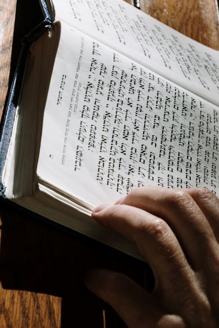 Language courses — 3